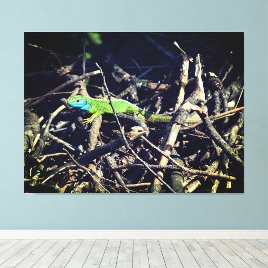 Groene hagedis stretched canvas afdrukken (Insitu (Houten vloer))