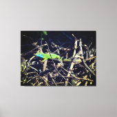 Groene hagedis stretched canvas afdrukken (Voorkant)