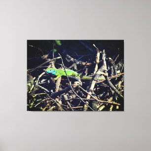 Groene hagedis stretched canvas afdrukken