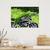 Groene Hawaiaanse Gecko Rijder Poster (Keuken)