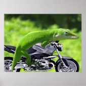 Groene Hawaiaanse Gecko Rijder Poster (Voorkant)
