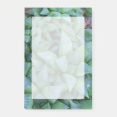 Groene Haworthia Succulent Plant Stickies Post-it® Notes (Voorkant)