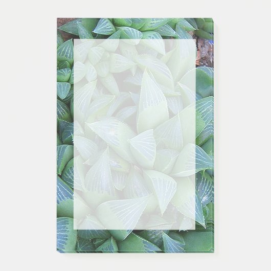 Groene Haworthia Succulent Plant Stickies Post-it® Notes (Voorkant)
