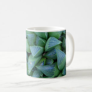 Groene Haworthia Succulent Plant Tuinman Mok