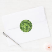 Groene Hedge Shrub Type Plant Foto Sticker (Envelop)