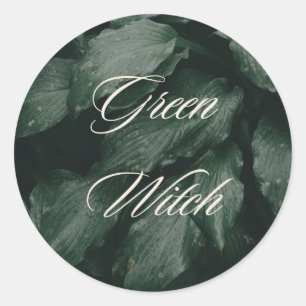 Groene heks ronde sticker