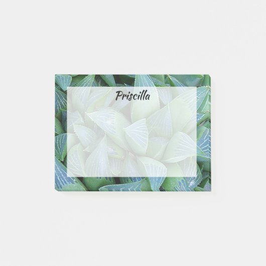 Groene hemlonia Succulent Plant Custom Stickies Post-it® Notes (Voorkant)