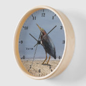 Groene heron personaliseren op het meer (Hoek)