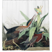 Groene heron Vods Audubon Wildlife Showgordijn Douchegordijn (Voorkant)