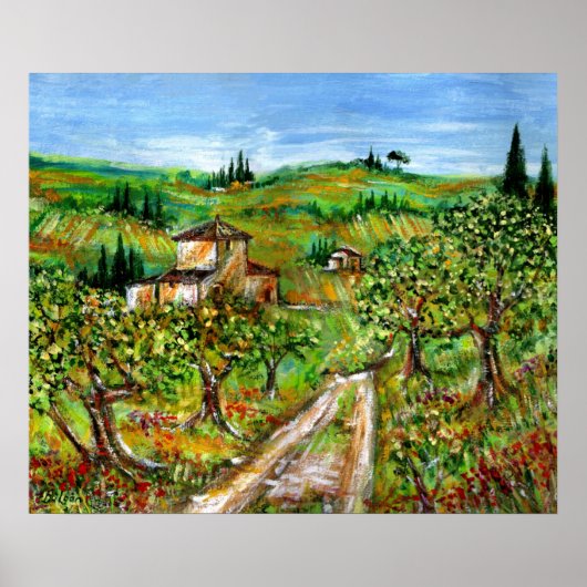 Groene heuvels en olijfbomen landschap Toscane Poster (Voorkant)