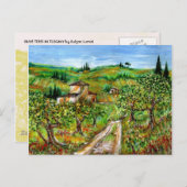 GROENE HILLEN EN OLIJFBOMEN IN TAALLANDSCHAP BRIEFKAART (Voorkant / Achterkant)