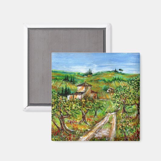 GROENE HILLEN EN OLIJFBOMEN IN TAALLANDSCHAP MAGNEET (Voorkant / Achterkant)