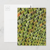 groene hoeken briefkaart (Voorkant / Achterkant)