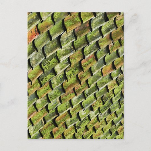 groene hoeken briefkaart (Voorkant)