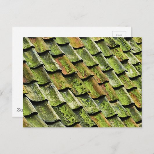 groene hoeken briefkaart (Voorkant / Achterkant)