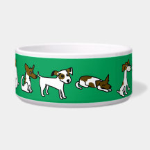 Groene Hondenkom Met Jack Russell Cartoon