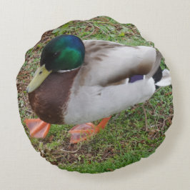 Groene Hoofd Eend Rond Kussen