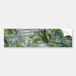 Groene hoopjes bumpersticker