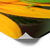 Groene Hopper Poster (Hoek)