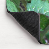 Groene hornworm op een tomaat Plant Muismat (Hoek)