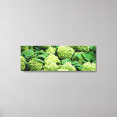 Groene hortensia canvas afdruk (Voorkant)