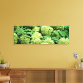 Groene hortensia canvas afdruk (Insitu (Woonkamer))