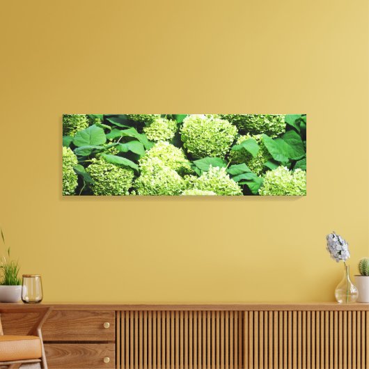 Groene hortensia canvas afdruk (Insitu (Woonkamer))