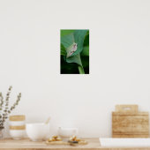 Groene Hosta-blad en Kikker Poster (Keuken)