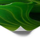 Groene Hosta-blad Poster (Hoek)
