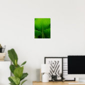 Groene Hosta-blad Poster (Thuiskantoor)