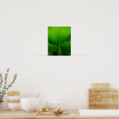 Groene Hosta-blad Poster (Keuken)