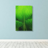 Groene Hosta Bladeren Canvas Afdruk (Insitu (Houten vloer))