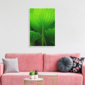 Groene Hosta Bladeren Canvas Afdruk (Insitu (Woonkamer))