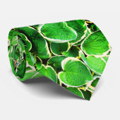 Groene Hosta-bladeren mode das (Opgerold)