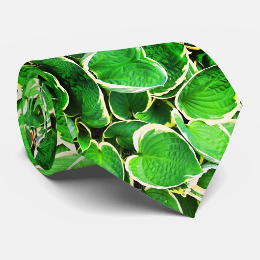 Groene Hosta-bladeren mode das (Opgerold)