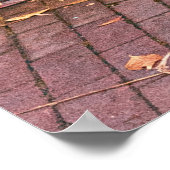 GROENE HOUTEN DEUR MET GLAS POSTER (Hoek)