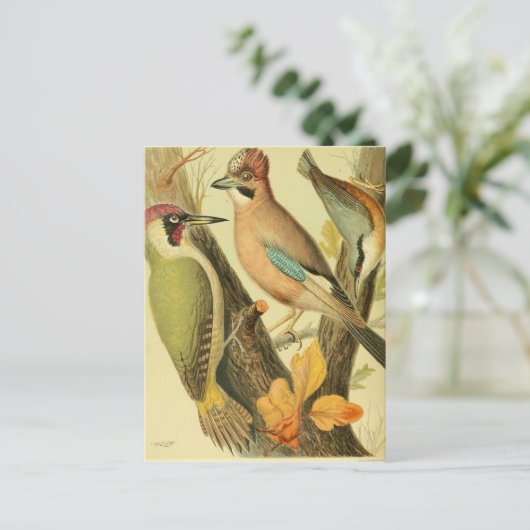  groene houtspecht briefkaart (Staand voorkant)