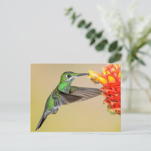Groene Hummingbird & Bee Briefkaart (Staand voorkant)