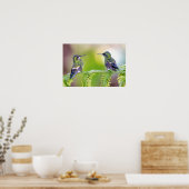 Groene Hummingbird Couple op een lef Poster (Keuken)
