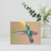 Groene Hummingbird die naar een gele bloem vliegt Briefkaart (Staand voorkant)