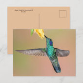 Groene Hummingbird die naar een gele bloem vliegt Briefkaart (Voorkant / Achterkant)
