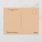 Groene Hummingbird die naar een gele bloem vliegt Briefkaart (Achterkant)