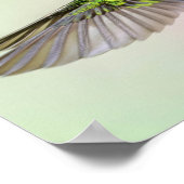 Groene Hummingbird die prettieus vliegt Poster (Hoek)