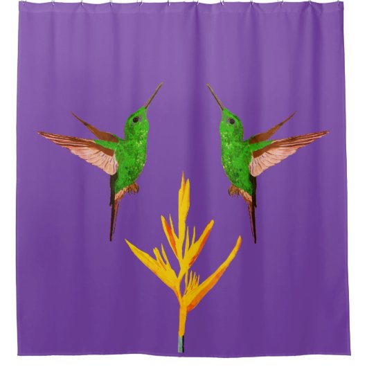 Groene Hummingbird Douchegordijn (Voorkant)