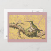 Groene Hummingbird Nest Eggs Branch Briefkaart (Voorkant / Achterkant)