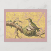 Groene Hummingbird Nest Eggs Branch Briefkaart (Voorkant)