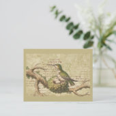 Groene Hummingbird Nest Eggs Branch Briefkaart (Staand voorkant)