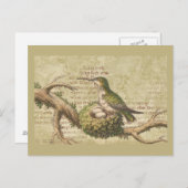 Groene Hummingbird Nest Eggs Branch Briefkaart (Voorkant / Achterkant)