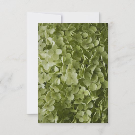 Groene Hydrangea Aankondiging van het homohuwelijk (Achterkant)