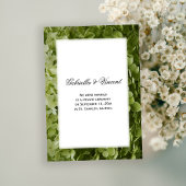 Groene Hydrangea Aankondiging van het homohuwelijk